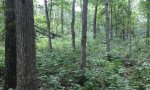 10520JG110 (1)