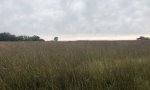 2018 Loamy Reference payne County