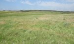 SANDS Site Jefferson County (2)