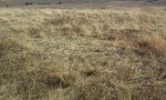 R046XH122WY_Ly-WF_Ref1.2