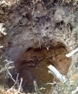 2.4soil
