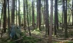 2017VT009002-RS-Natural-VT