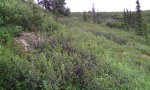 13NR00703_RPC