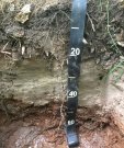 1.1soils