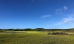 southeast molokai aquisalids herbland