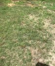 IMG_0076[1]