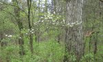 IMG_1814