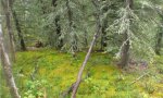 2016AK290639_RPClowdq